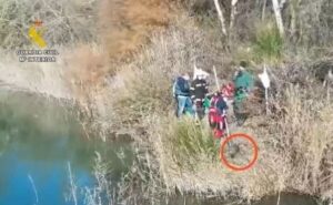 Bestial animal cruelty in Arganda: Dog brutally drowned while tied to concrete blocks with chains