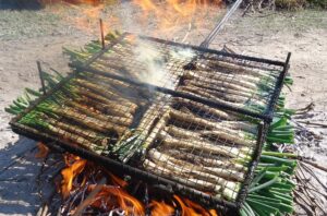 Barcelona bans Calçotadas at home: Fines for preparing this traditional dish on your balcony or terrace